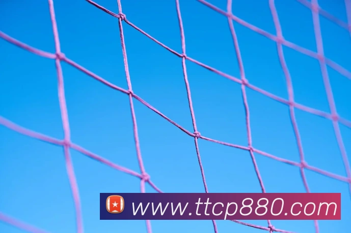 天天彩票官方网站平台生态图